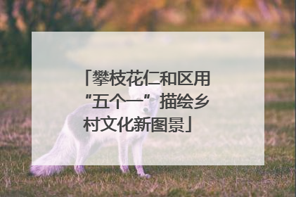 攀枝花仁和区用“五个一”描绘乡村文化新图景